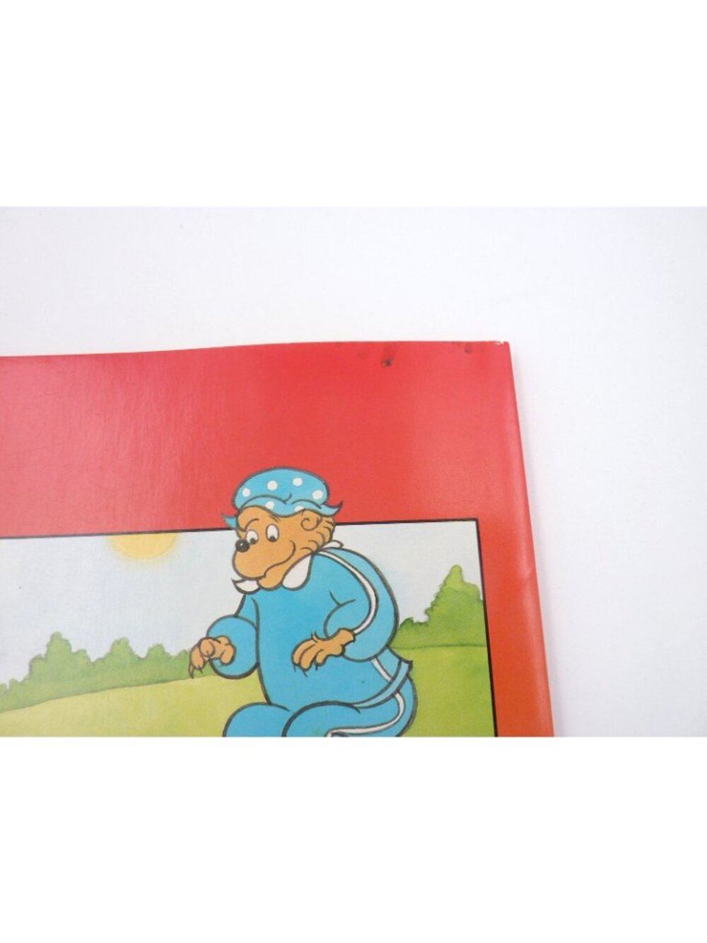 The Berenstain Bears Giant Color/Activity Book Golden Book 1991 vtg 3325-15 - Picture 6 of 7
